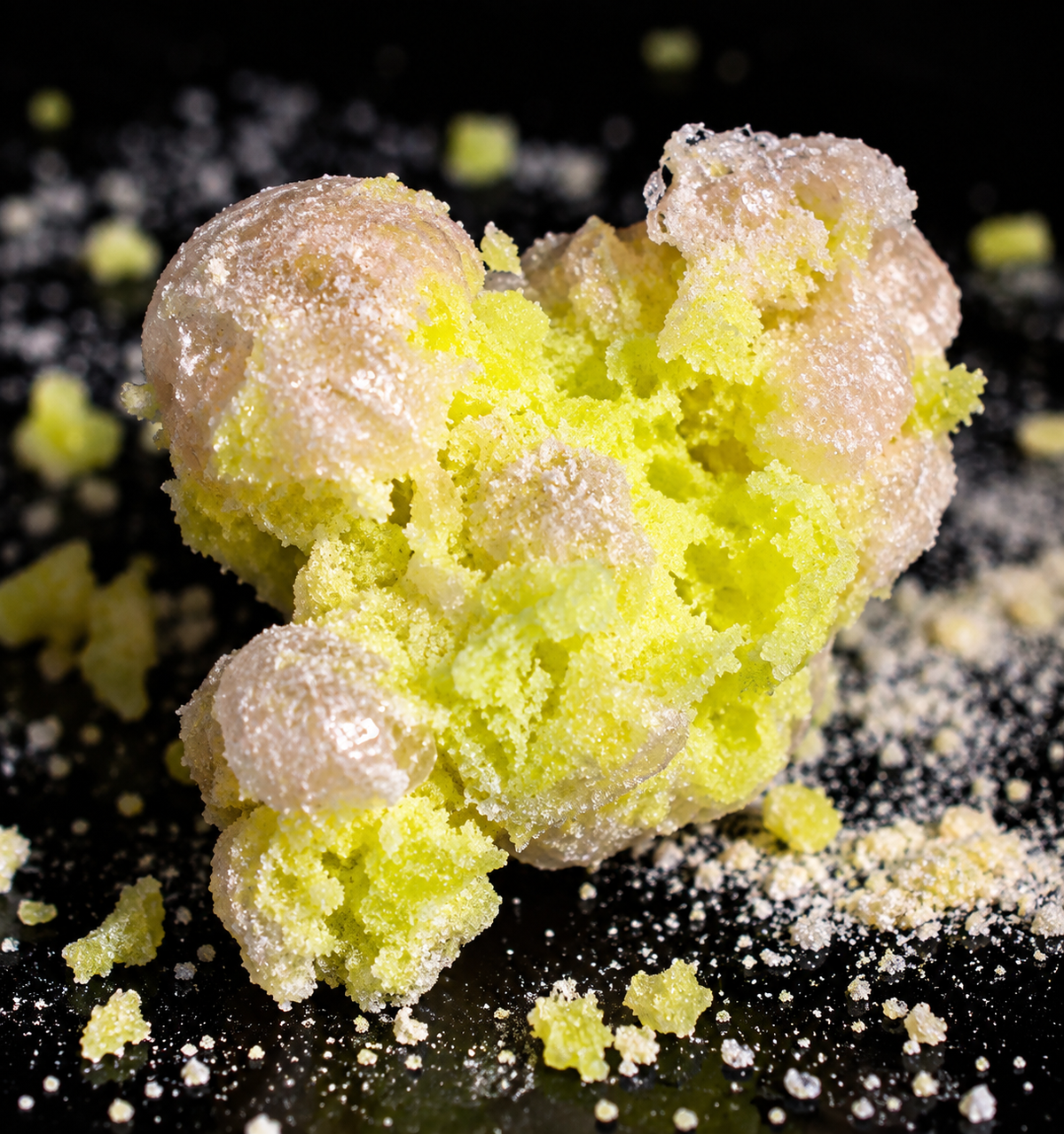 Green Apple Sour Freeze-Dried Candy — freeze-dried candy by YumNums