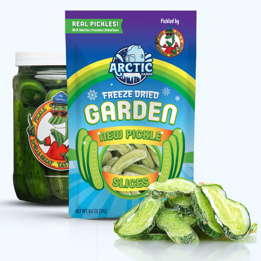 Freeze Dried New Pickle Slices from The Pickle Guys (Minimal Salt) — at YumNums Candy