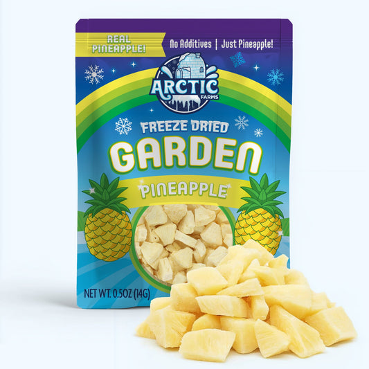 Freeze Dried Pineapple — at YumNums Candy