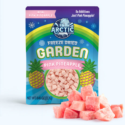Freeze Dried Pink Pineapple — at YumNums Candy