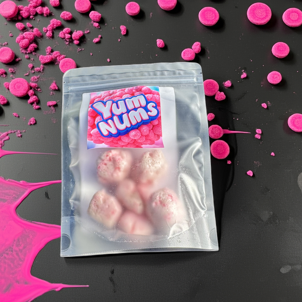 Single bag of Original Watermelon YumNums freeze-dried candy