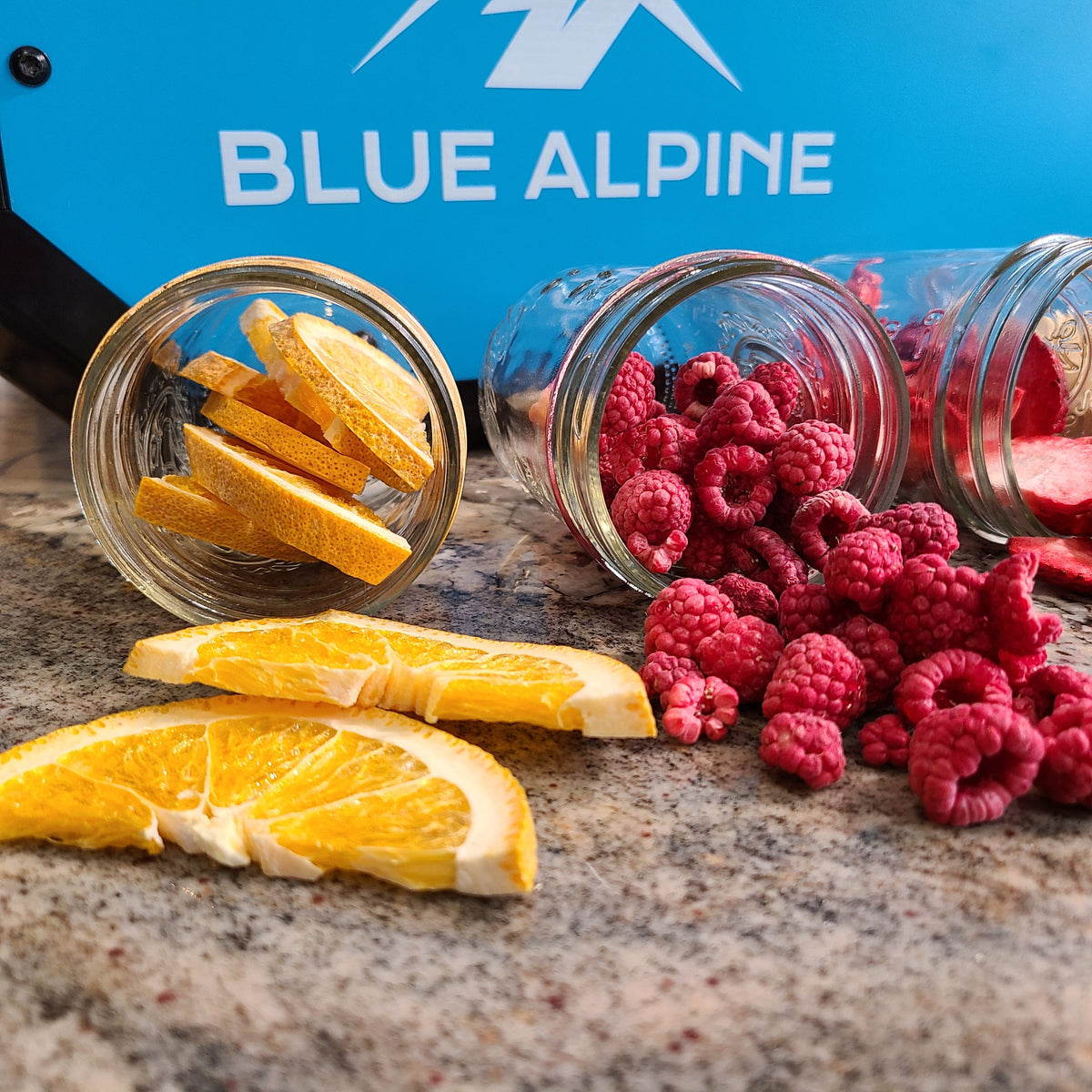 Blue Alpine Medium Elite freeze dryer — at YumNums Candy