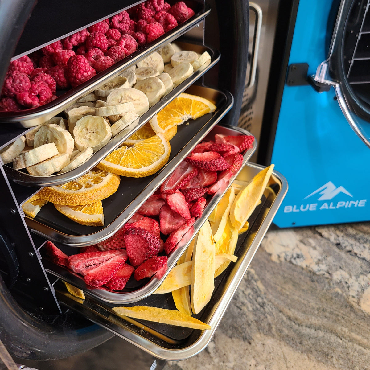 Blue Alpine Medium Elite freeze dryer — at YumNums Candy