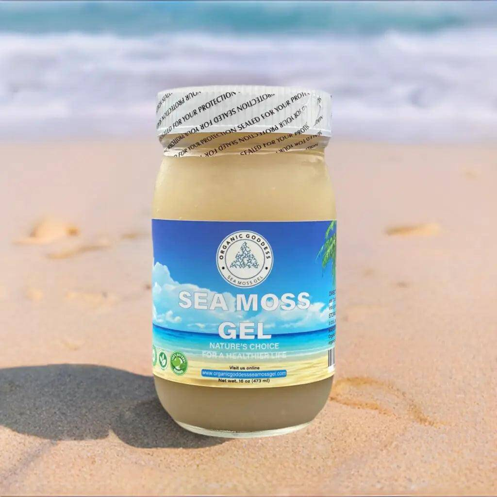 Gold Sea Moss Gel | Wildcrafted Sea Moss